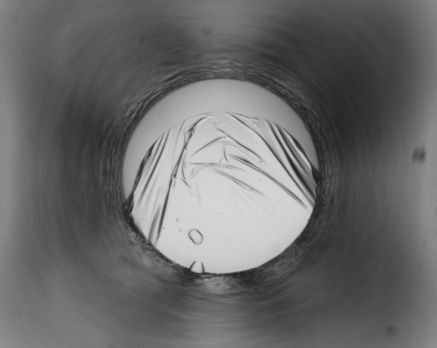 X0000114200417200911201004