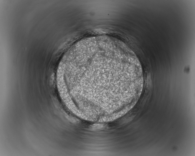 X0000114200418200911201004