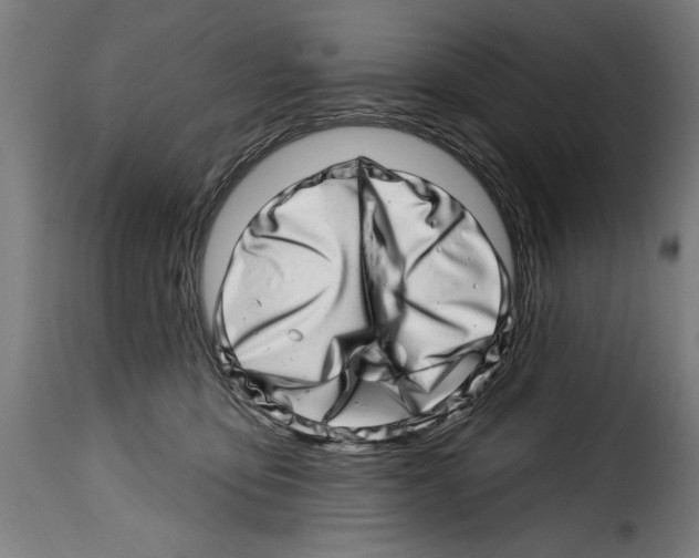 X0000114200419200911201004