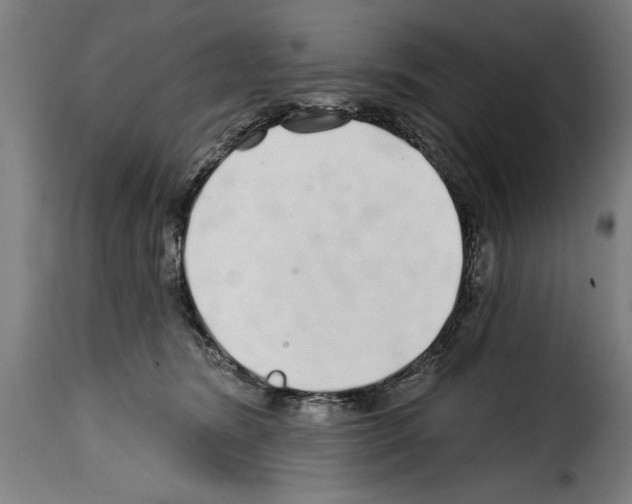 X0000114200420200911201004