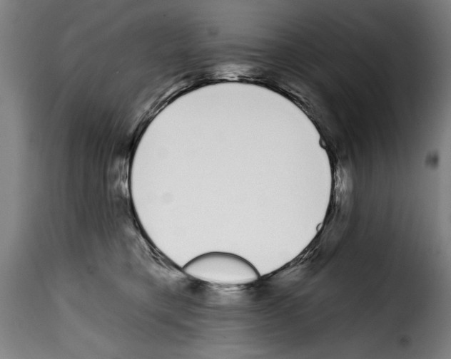 X0000114200421200911201004