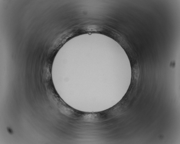 X0000114200422200911201004