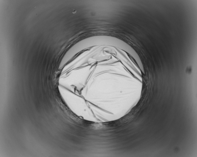 X0000114200425200911201004