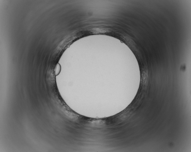 X0000114200426200911201004