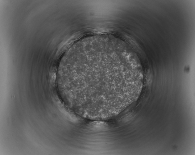 X0000114200427200911201004