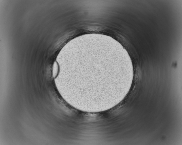 X0000114200428200911201004