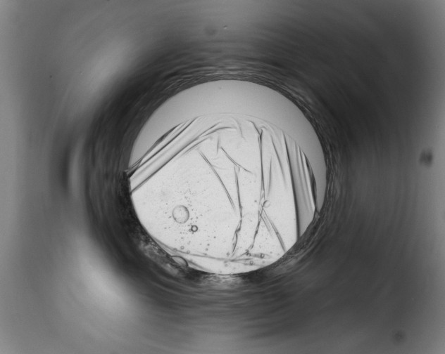 X0000114200429200911201004