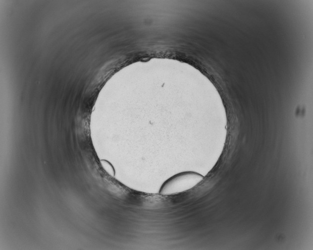 X0000114200432200911201004