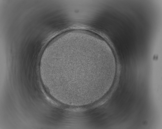 X0000114200433200911201003