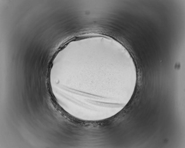 X0000114200434200911201003