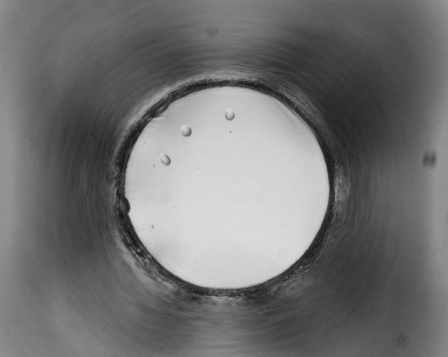 X0000114200436200911201003