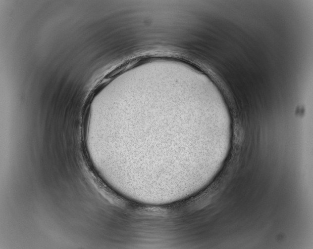 X0000114200437200911201004