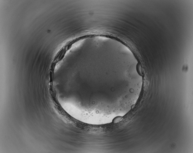 X0000114200438200911201004