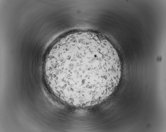 X0000114200440200911201004