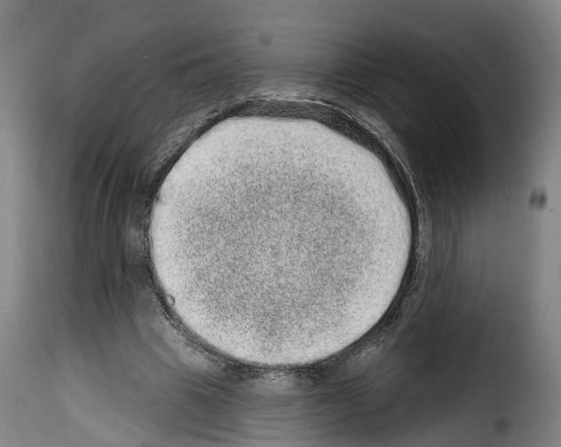 X0000114200441200911201004