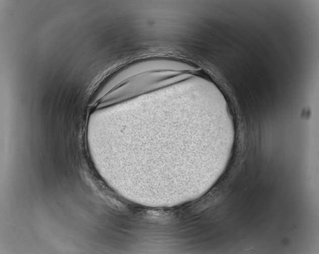 X0000114200442200911201004