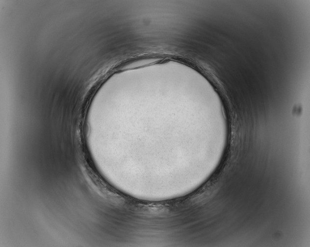 X0000114200443200911201004