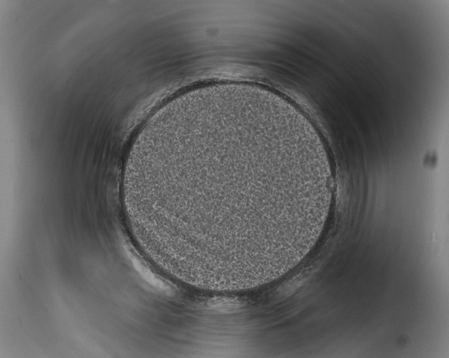 X0000114200445200911201004