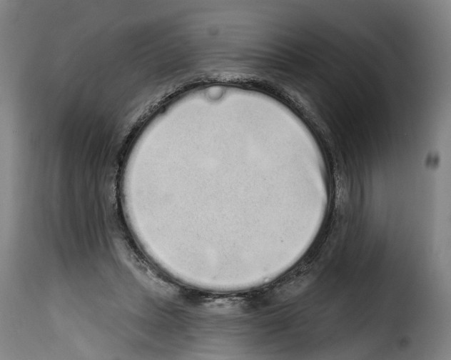 X0000114200447200911201004