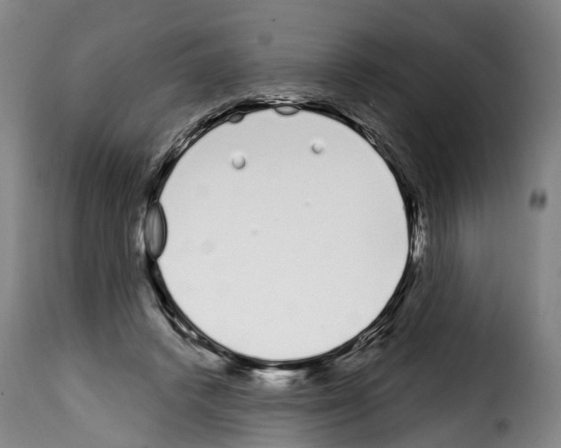 X0000114200448200911201004