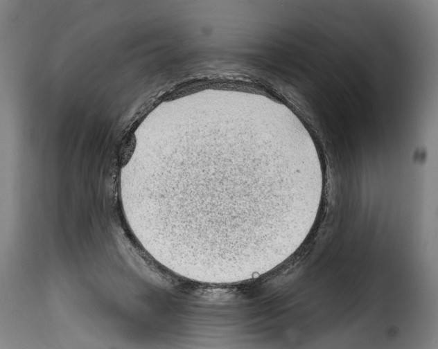 X0000114200449200911201004