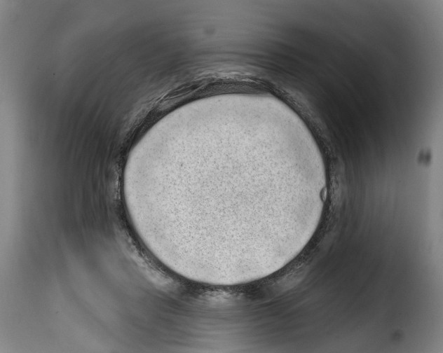 X0000114200453200911201004