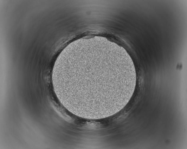 X0000114200455200911201004