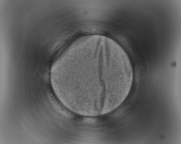 X0000114200457200911201004