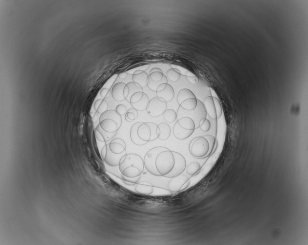 X0000114200458200911201004