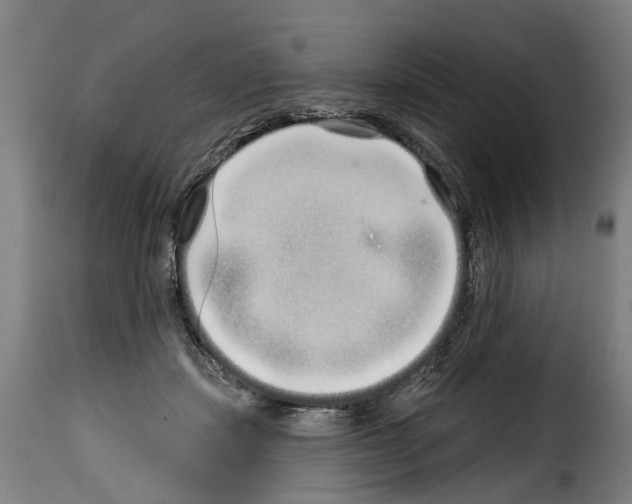 X0000114200459200911201004