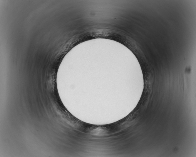 X0000114200460200911201004