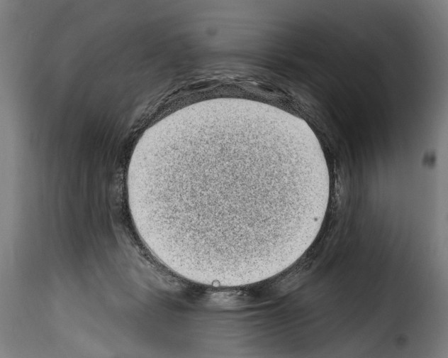 X0000114200461200911201004