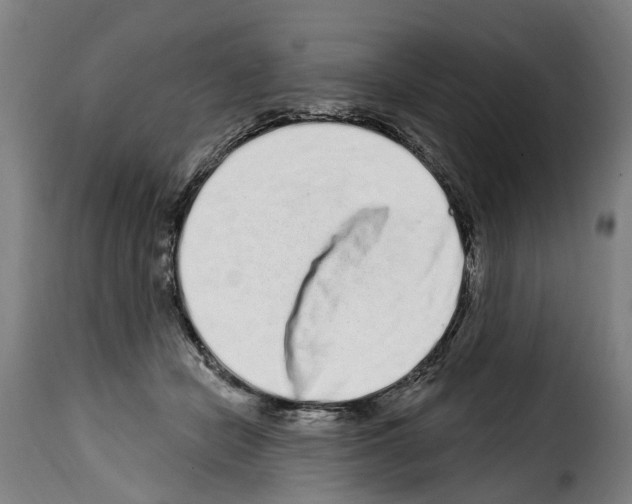 X0000114200462200911201004