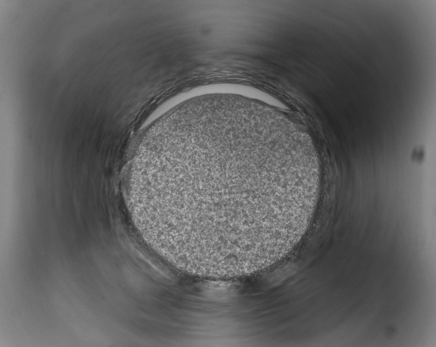 X0000114200465200911201004