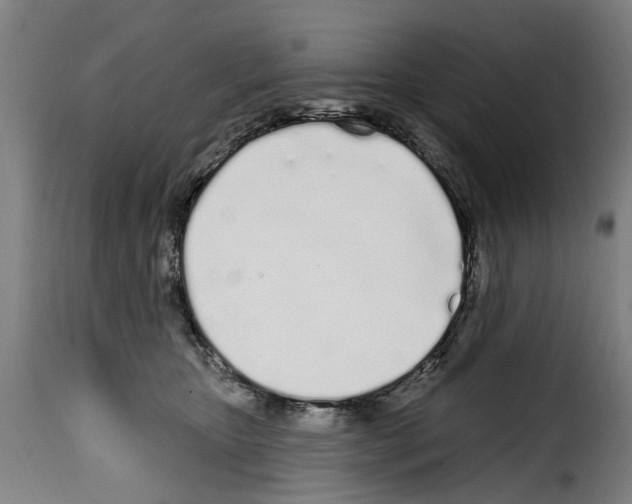 X0000114200467200911201004