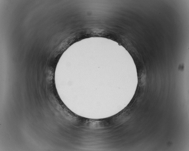 X0000114200472200911201004