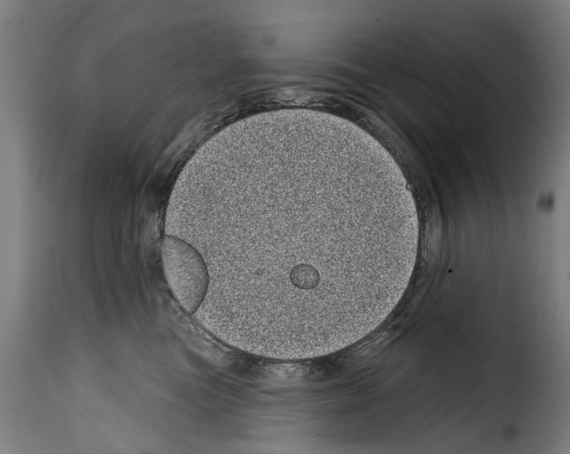 X0000114200473200911201004