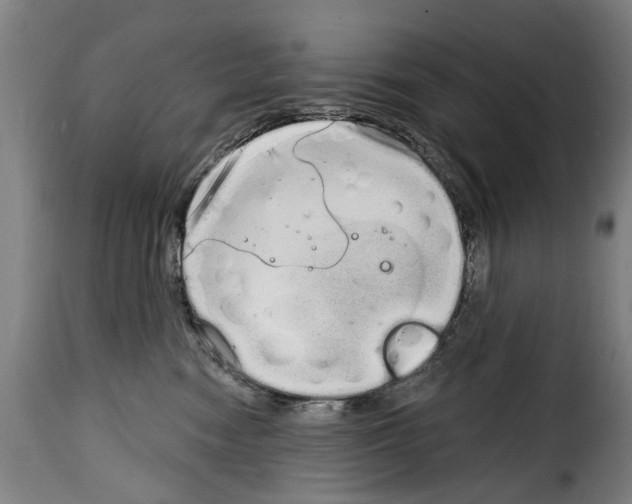 X0000114200474200911201004