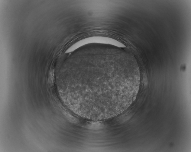 X0000114200475200911201004