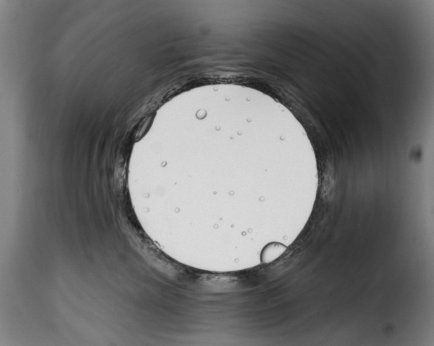 X0000114200476200911201004