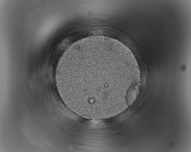 X0000114200477200911201004