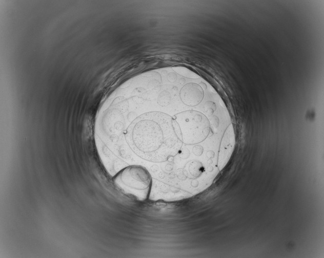 X0000114200478200911201004