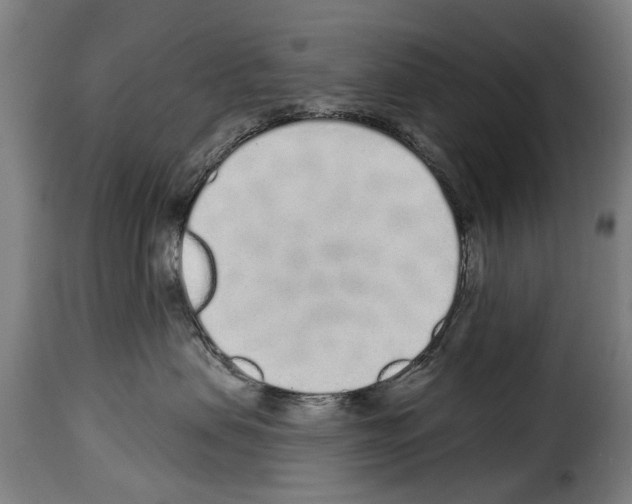 X0000114200479200911201004