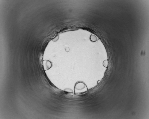 X0000114200480200911201004