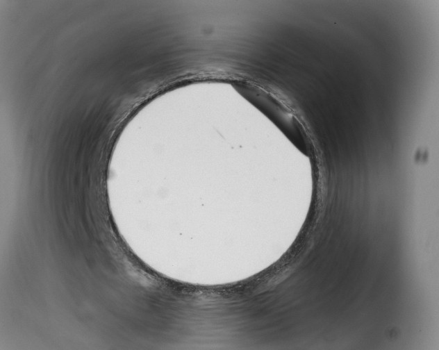 X0000114200481200911201003