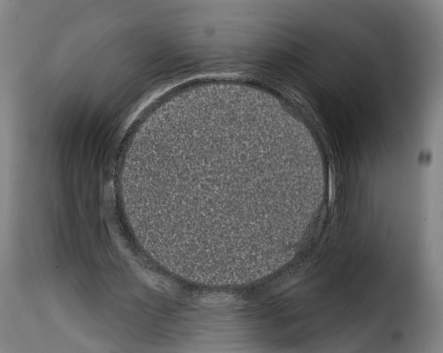 X0000114200483200911201003