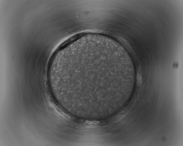 X0000114200484200911201003