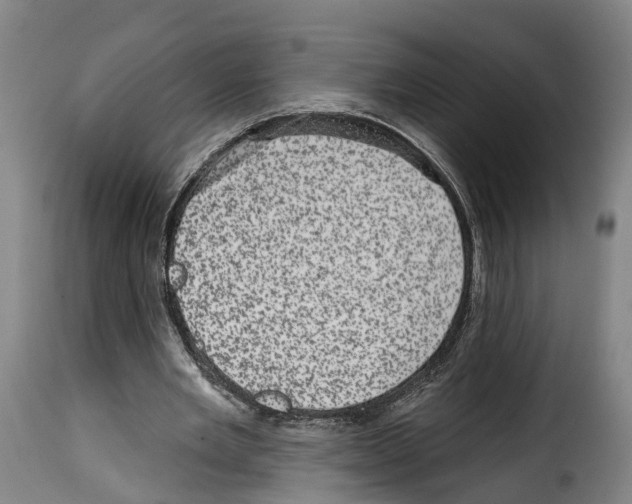 X0000114200485200911201003