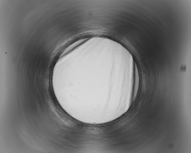 X0000114200486200911201003