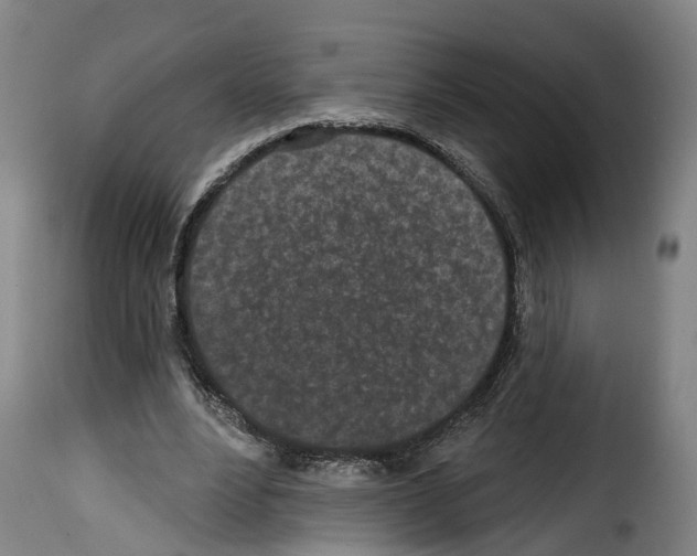 X0000114200488200911201003